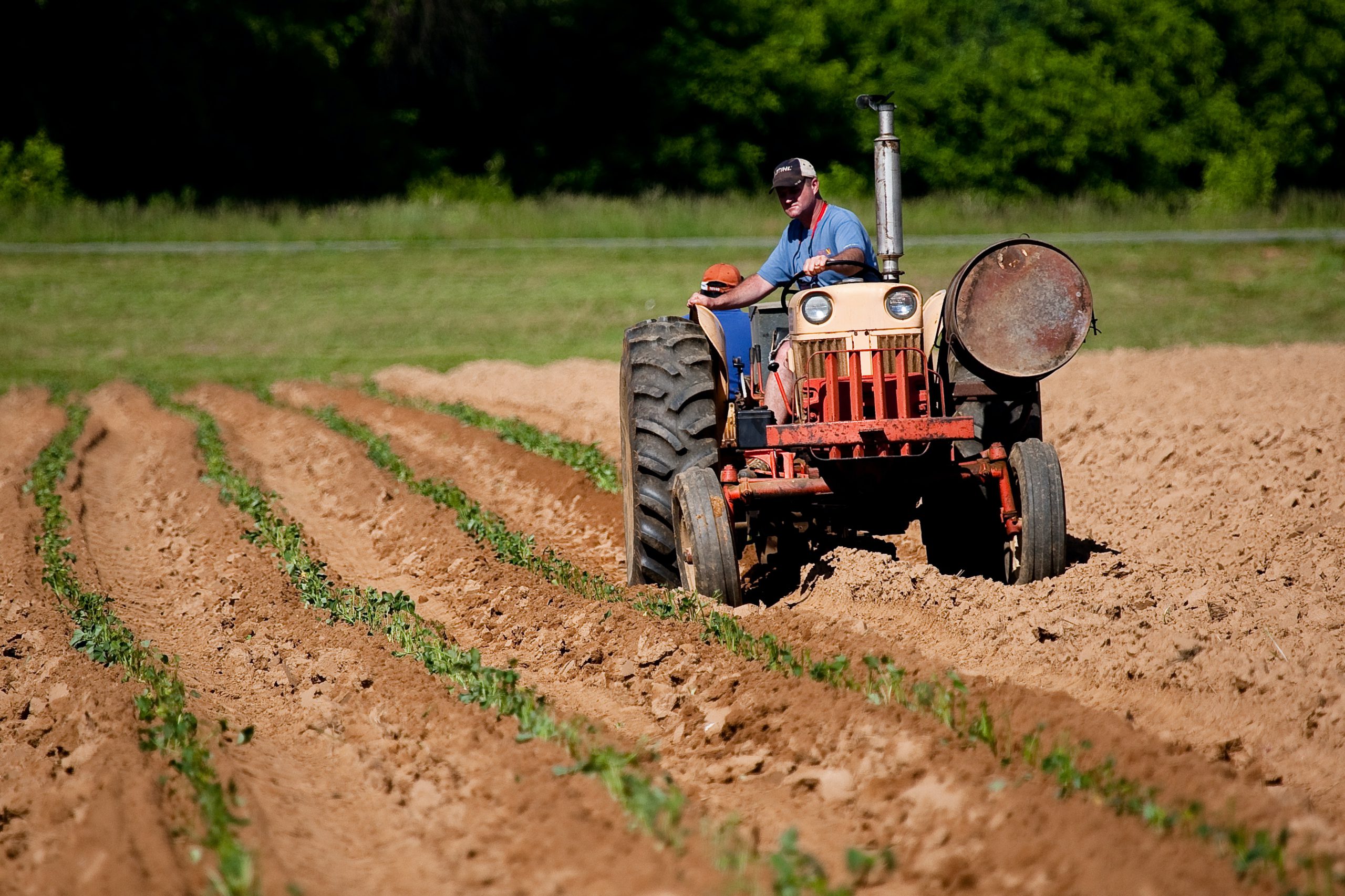 Tractor in het land